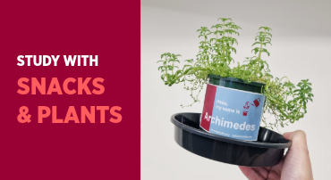 A text that reads “Study with Snacks & Plants” on a red background, with an accompanying image of a potted plant with a name tag.