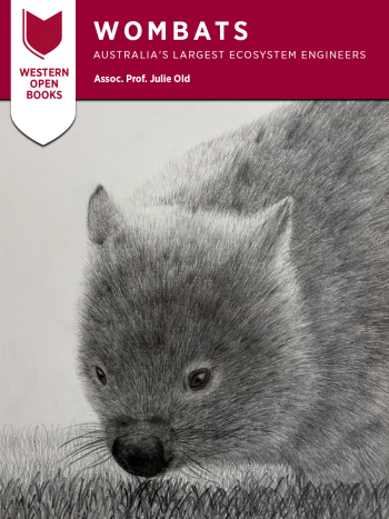 A picture of a wombat